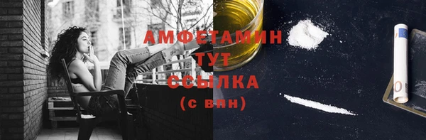 шишки Горно-Алтайск